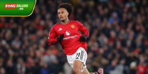 Chuyển nhượng sáng 11/12: MU đàm phán với Roma về Zirkzee và thương vụ Konate