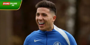 Enzo Fernandez thay đại diện