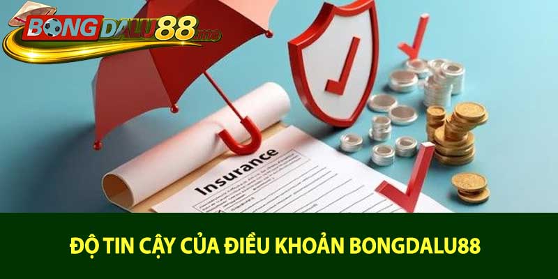Độ tin cậy của điều khoản bongdalu88